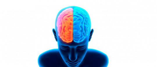 GABA (neurotransmisor): qué es y qué función desempeña en el cerebro