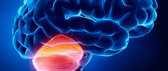 Ataxia: causas, síntomas y tratamientos