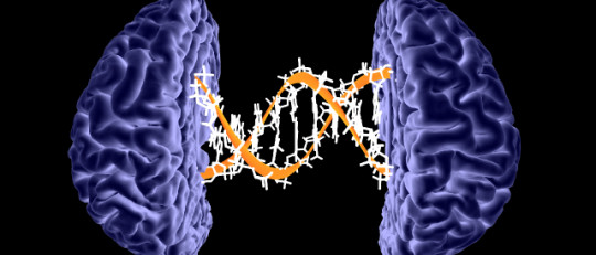 Las cinco inteligencias del ser humano