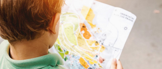 Estrategias didácticas