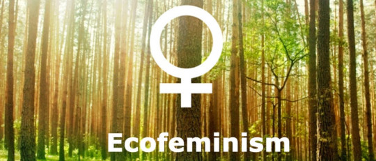 Ecofeminismo