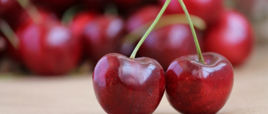 6 vitaminas para cuidar la salud del cerebro