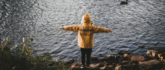 Trastorno Desintegrativo Infantil