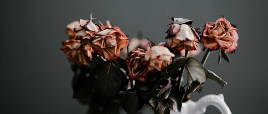 Dejar de tenerle miedo al amor