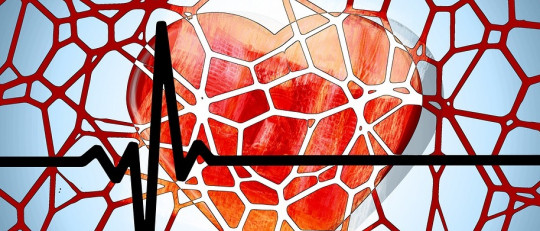 Fobia a la sangre: síntomas y causas de la hematofobia