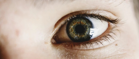 Terapia de Diálogo Abierto