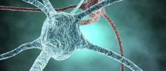 Los 5 trucos clave para aumentar tu inteligencia