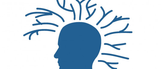 Entrenar funciones ejecutivas