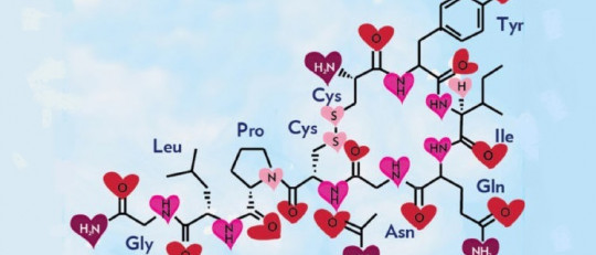 ¿Qué es la oxitocina y qué funciones realiza esta hormona?