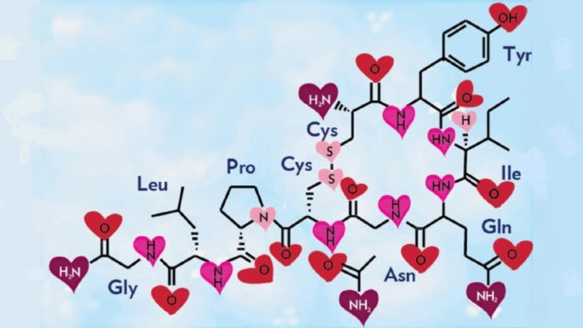 La química del amor: una droga muy potente