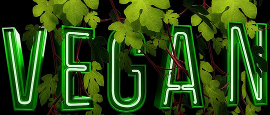 Diferencias entre ser vegano y vegetariano