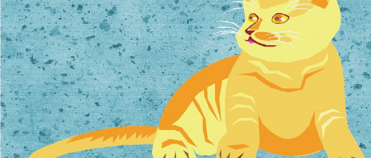 Niños y mascotas en casa: 7 puntos que debes valorar