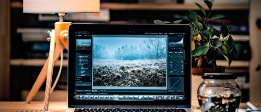 Estrategias tiendas online