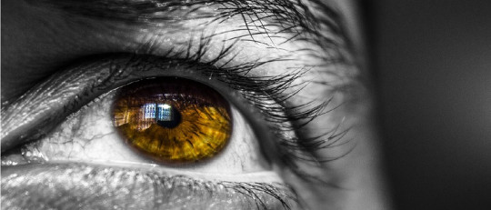 7 estrategias para desarrollar la intuición