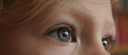 Pensamiento concreto