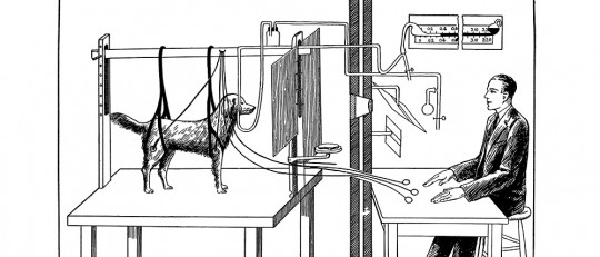 Estímulo condicionado