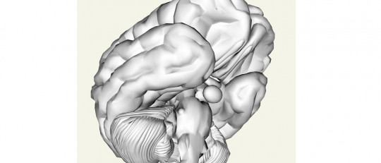 Cómo afecta el estrés al cerebro
