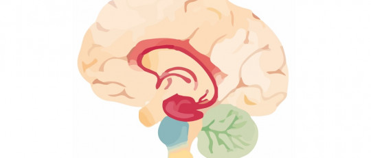 Síndrome orgánico cerebral