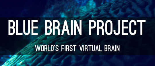 Blue Brain Project: reconstruyendo el cerebro para comprenderlo mejor