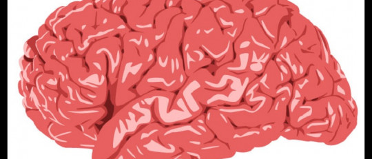 Programación Neurolingüística (PNL): ¿qué es y cómo funciona?