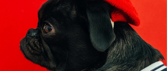 Qué significa el color rojo