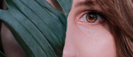 Qué significa el color verde