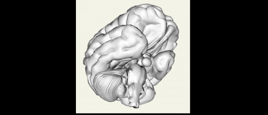 Teoría modular de la mente