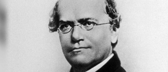 Gregor Mendel
