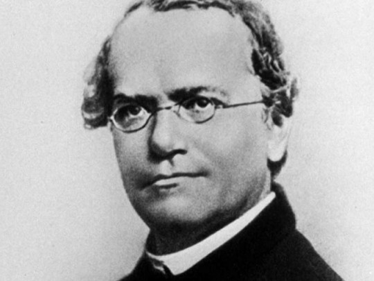 Friedrich Albert Lange - Wikipedia
