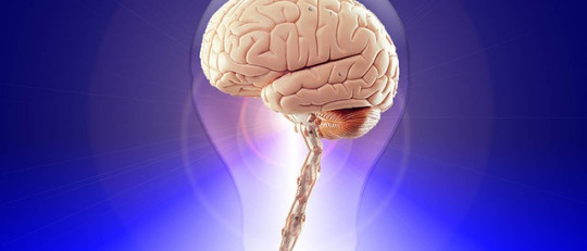 Inteligencia Fluida e Inteligencia Cristalizada: ¿qué son?
