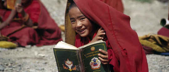 Los cuentos y fábulas más bonitos