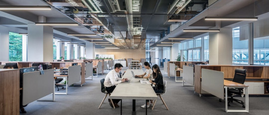 Clasificación de empresas