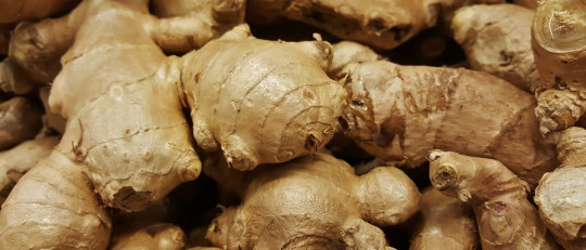 Contraindicaciones del jengibre