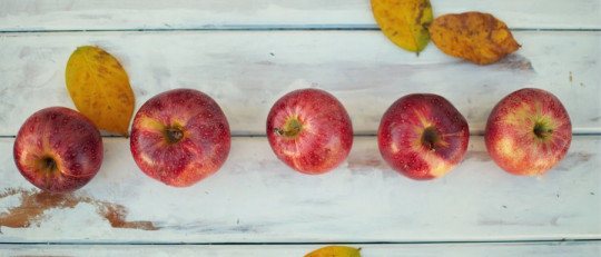 Alimentos para bajar el colesterol malo