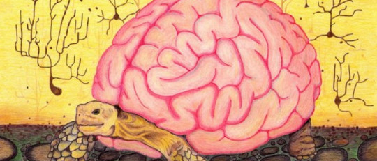 "Heurísticos": los atajos mentales del pensamiento humano