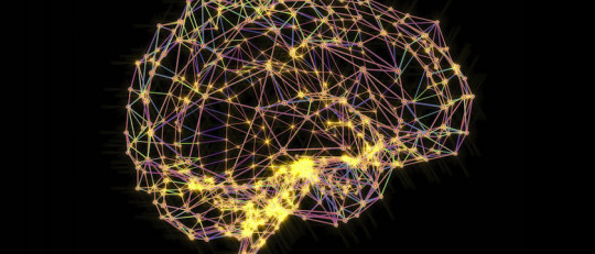 Los 8 tipos de distorsiones cognitivas