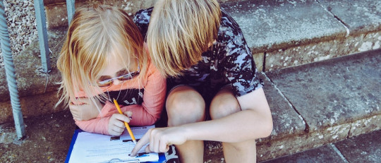 Tipos de programas de reforzamiento