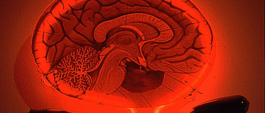 Los 10 principios de la PNL (Programación Neurolingüística)