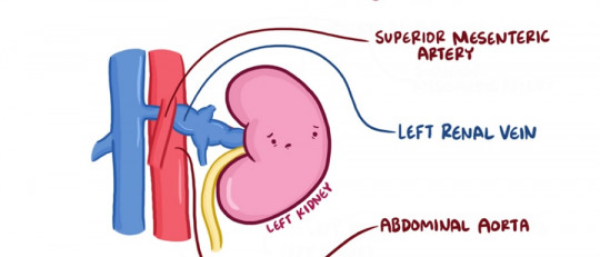 Síndrome del cascanueces