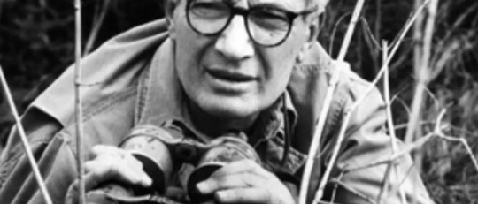 Preguntas de Tinbergen