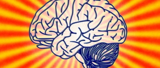 Las 4 ventajas de hablar varias lenguas