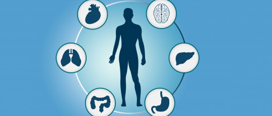Las diferencias entre síndrome, trastorno y enfermedad
