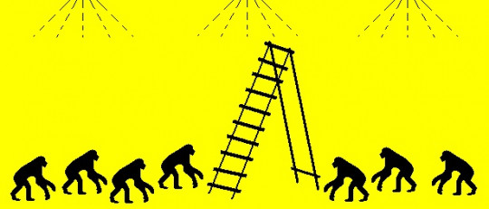 El experimento de los monos, los plátanos y la escalera: obedeciendo normas absurdas