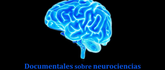 12 documentales sobre neurociencias y neuropsicología