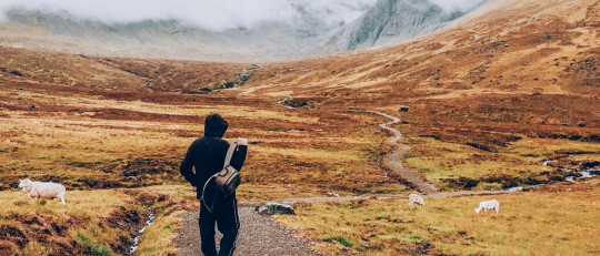 Ventajas de la soledad