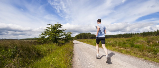 Teoría de motivación a la protección