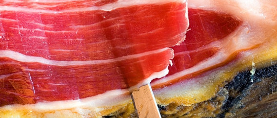 Los 5 alimentos que ayudan a mejorar la inteligencia