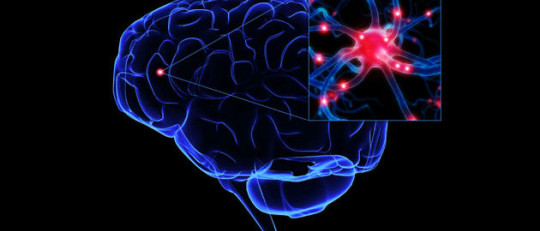 Memoria selectiva: ¿por qué solo recordamos lo que nos importa?