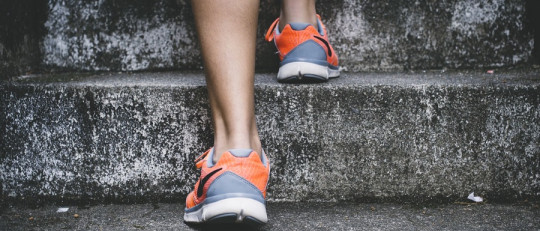 Teoría de expectativa-valor de Atkinson