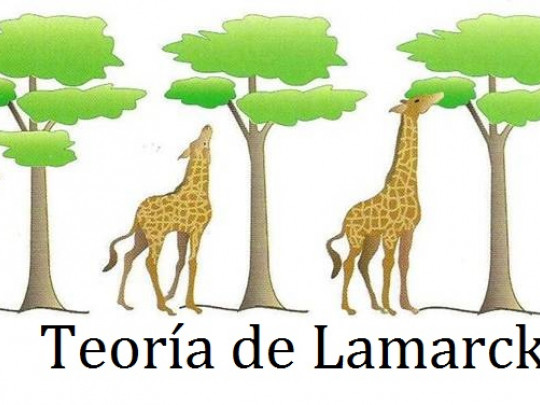 La Teoría de Lamarck y la evolución de las especies